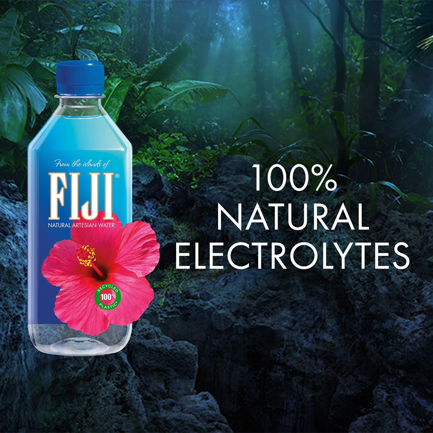 FIJI Natural Artesian Water – 24 Pack (16.9 fl oz Bottles) | Premium Pure Drinking Water